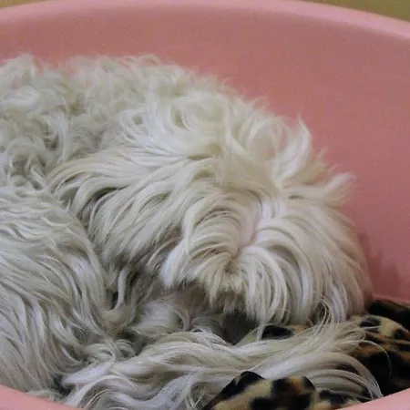 Pensjonat Dei Gerolomini